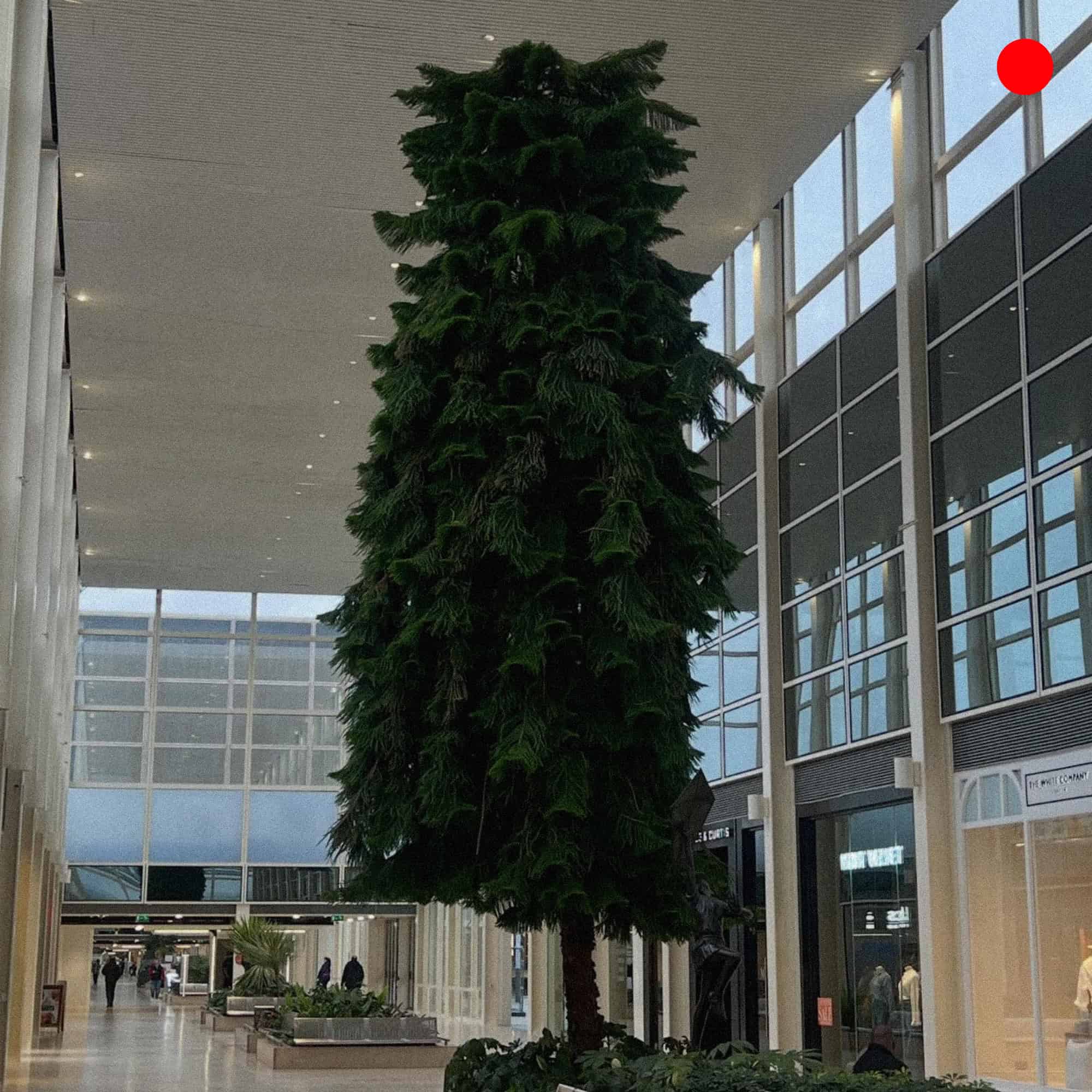 Planning For Leisure