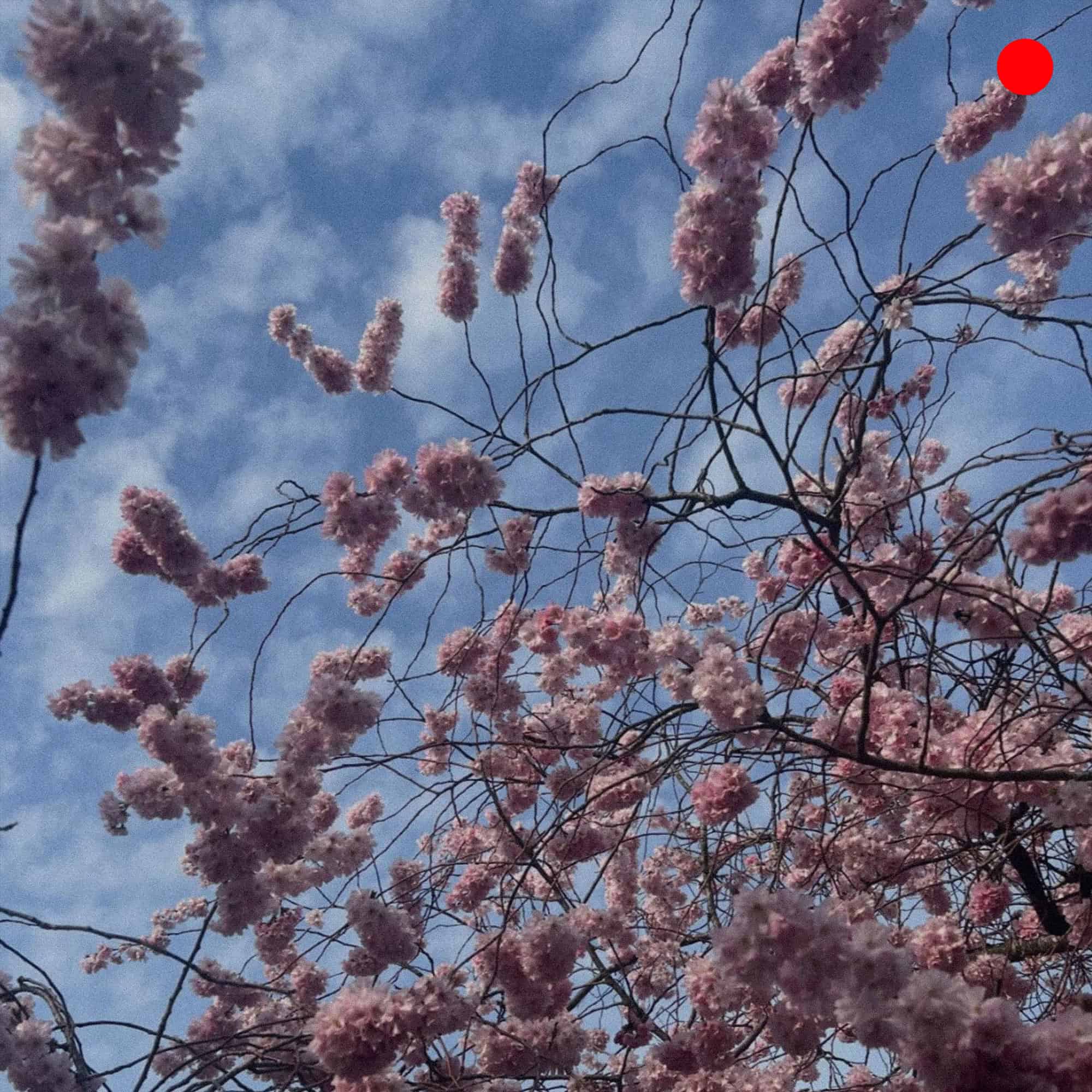 Planning For Leisure